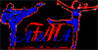 Logo von Austrian Fitness & Martial Arts Academy